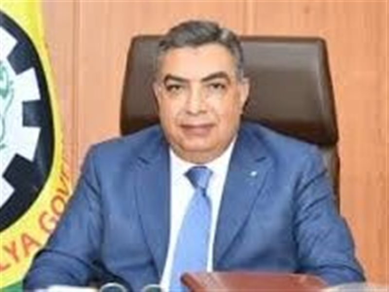 محافظ الدقهلية