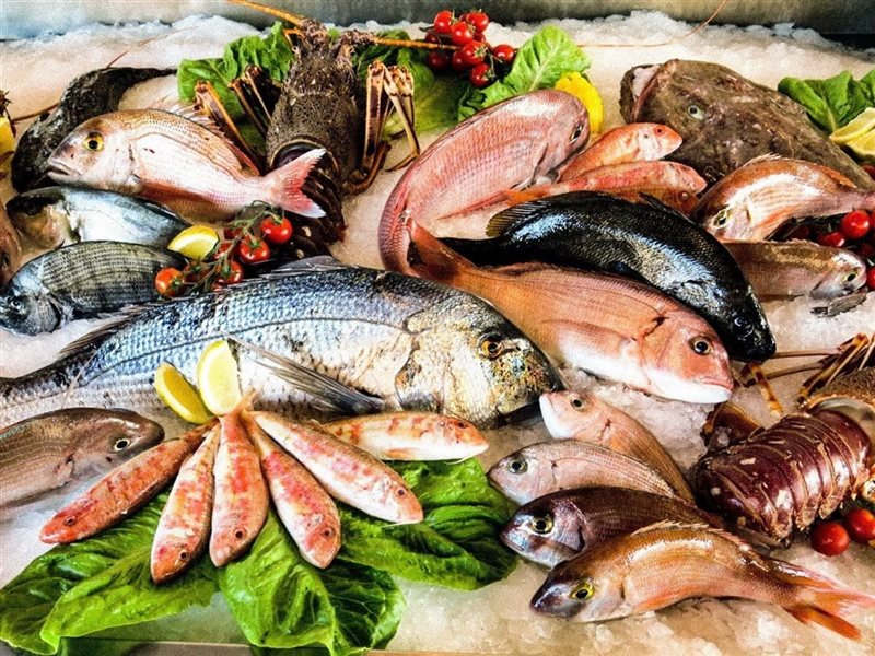 أسماك متنوعة