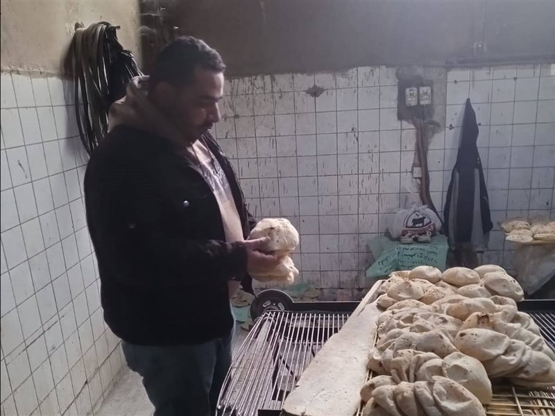 تموين الجيزة خلال