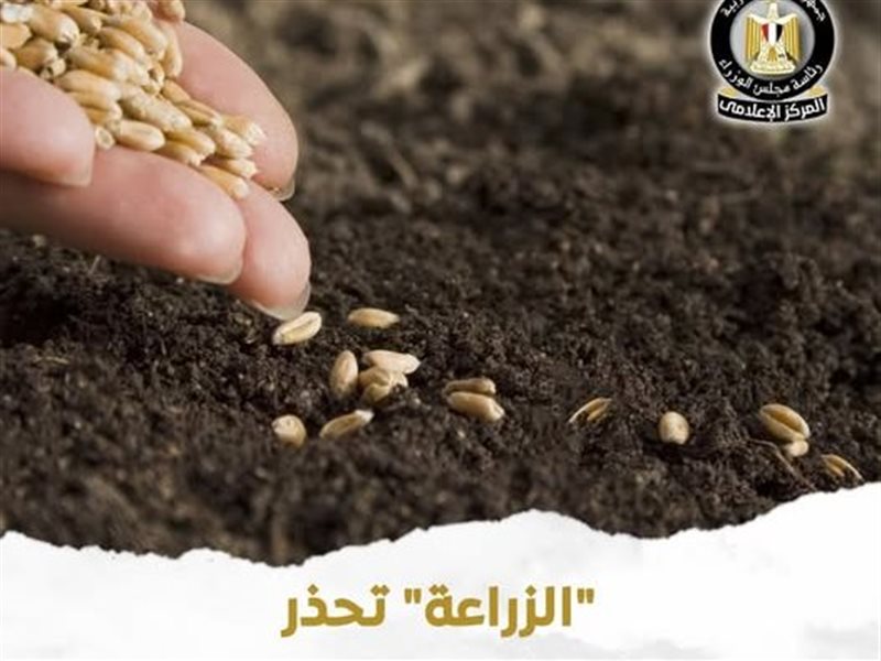 تقاوي مجهولة المصدر