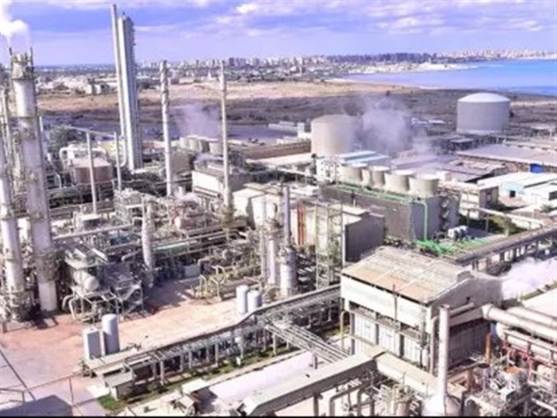 المصانع المصرية