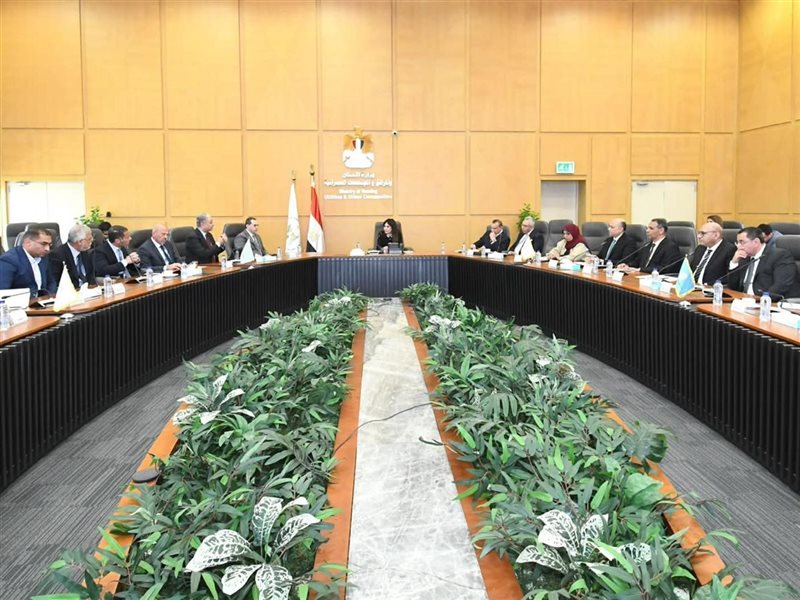 راندة المنشاوي وزيرة