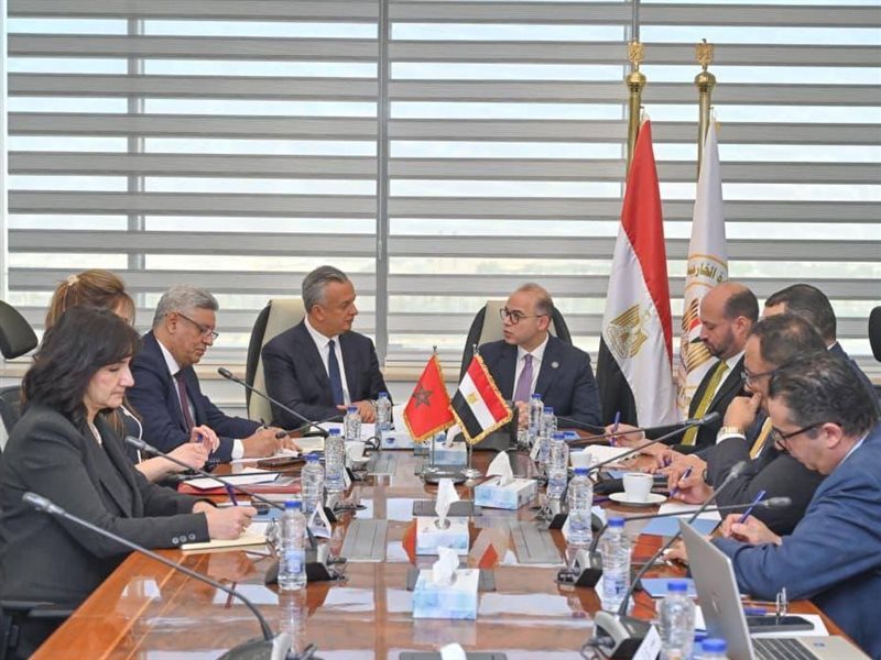 وزيرا الاستثمار المصري