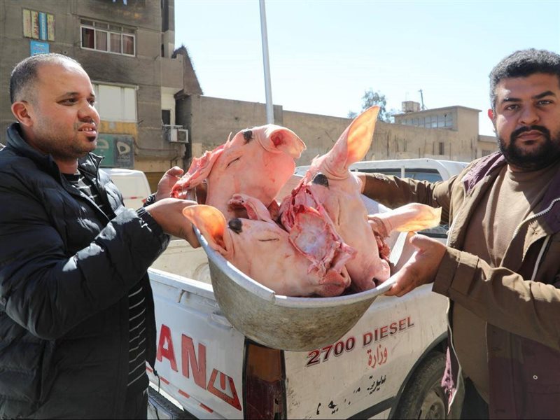 ذبح رؤوس الماشية