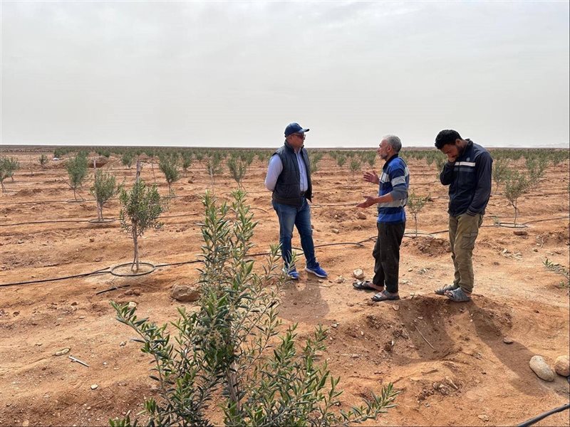 بحوث الصحراء في سيناء 