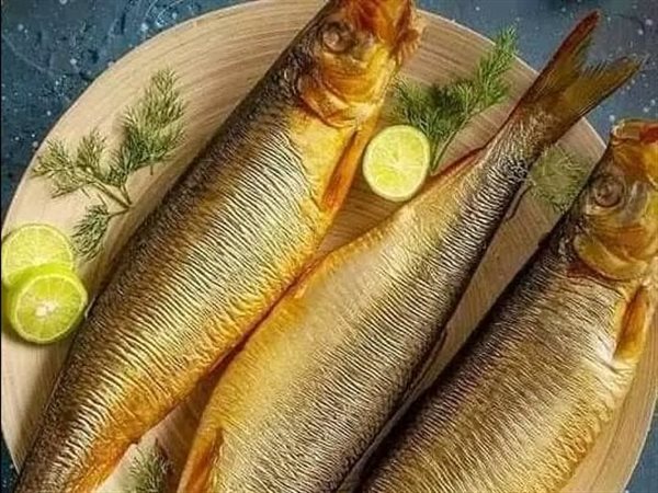 مع دخول شم النسيم.. تعرف على أسعار الفسيخ والرنجة اليوم في الأسواق المصرية 