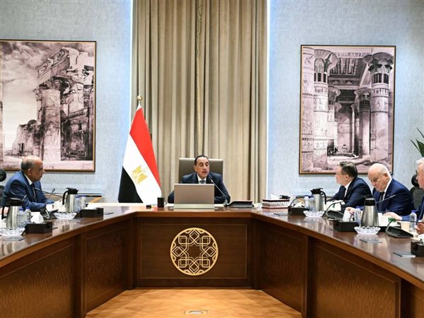 رئيس الوزراء يبحث مع المدير العام لـ