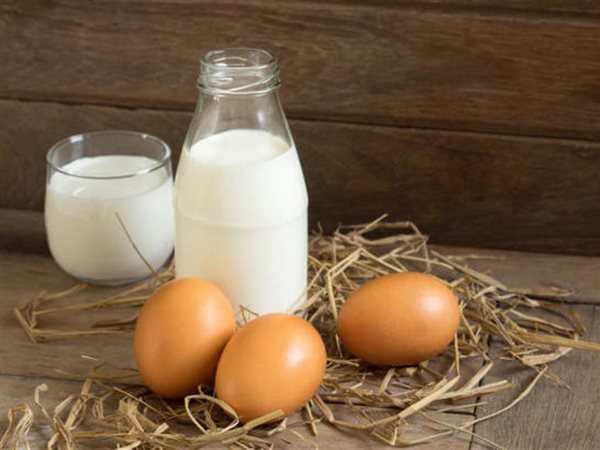 تراجع ملحوظ في أسعار البيض واستقرار الألبان بتعاملات الأربعاء