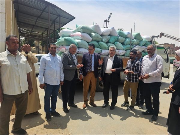 تموين الأقصر يبدأ توريد القمح 2026.. صرف مستحقات المزارعين خلال 48 ساعة