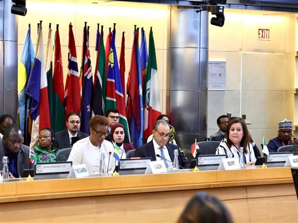 دعوة لتعزيز دور البنك الدولي في دعم استقرار الاقتصادات الإفريقية