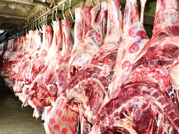 بورصة الأضاحي 2026: استقرار أسعار 