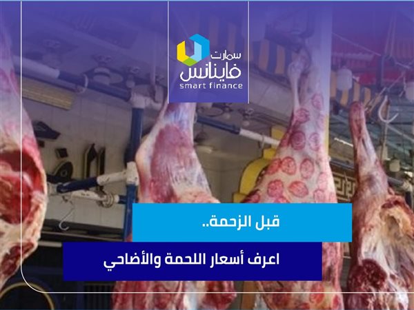 قبل الزحمة.. اعرف أسعار اللحمة والأضاحي