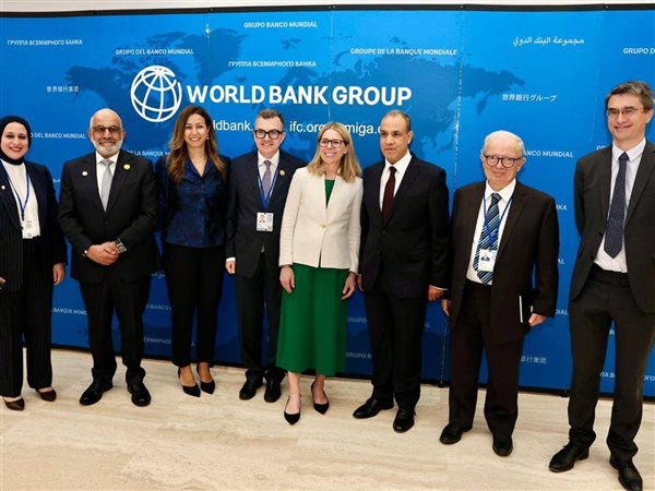 شراكة إستراتيجية بين مصر و