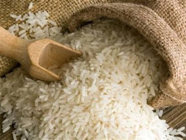 رئيس الشعبة: تحديات الإنتاج وتأثيرات الأسواق العالمية تدفع بأسعار الأرز نحو الصعود