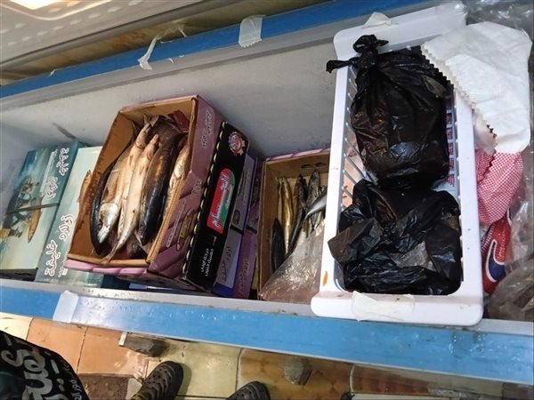 ضبط رنجة وفسيخ مجهولة المصدر داخل محال غير مرخصة بمحافظة الجيزة