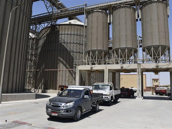 مدير صومعة طامية بالفيوم: 1156 طن قمح مستلمة حتى الآن وخطة طموحة لبلوغ 60 ألف هذا الموسم