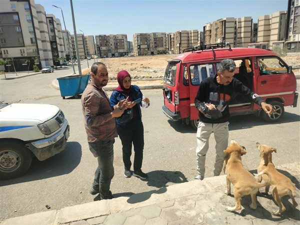 «العبور الجديدة» بلا سعار.. إطلاق حملة مكبرة لتطعيم الكلاب الضالة بأحياء المدينة