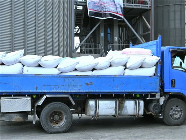الذهب الأصفر يزين صوامع البحيرة..توريد 3884 طناً من القمح وسط تيسيرات للمزارعين