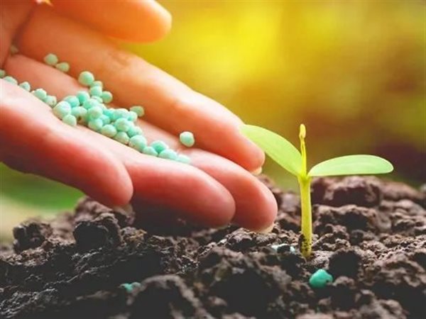 5 مليارات دولار.. استثمارات مصرية كبيرة في الذهب الأخضر | التفاصيل كاملة