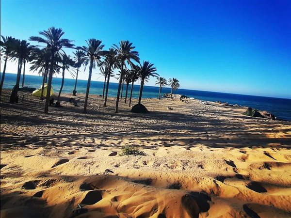 شمال سيناء تشهد طفرة تنموية شاملة لترسيخ مكانتها كمركز استثماري وعمراني فريد