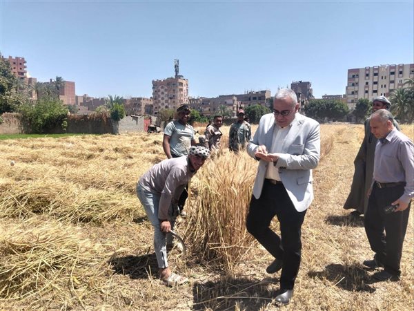انطلاق موسم حصاد القمح بسوهاج  ومتابعة ميدانية لرفع الإنتاجية وتقليل الفاقد