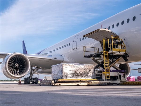 الطيران المدني: خفض 20% على شحن الدواجن جواً لدعم الصادرات وفتح أسواق جديدة