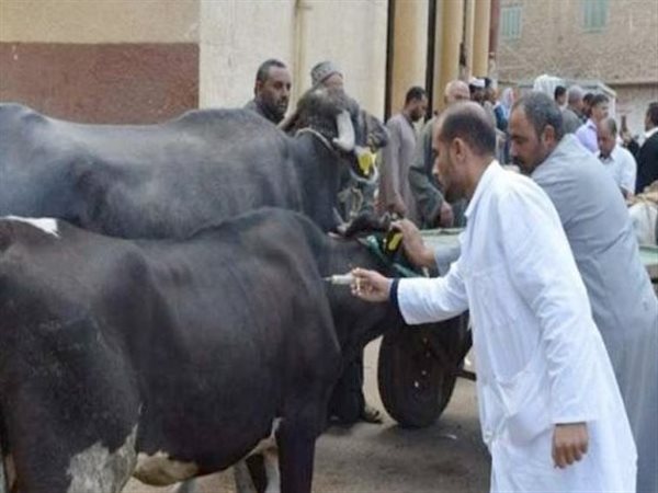 وزارة الزراعة تُحذر من لقاح «أفتوفاكس» مجهول المصدر وتتوعد المتلاعبين بالثروة الحيوانية