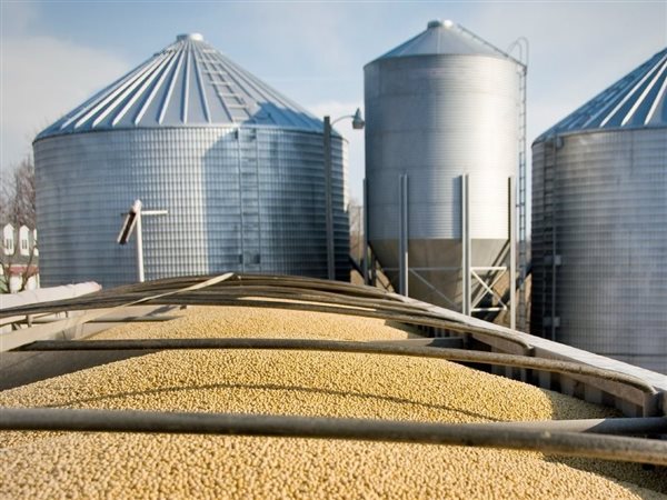 مدير صومعة إمبابة: استقبال1250 طناً من القمح عبر القطارات..وتفريغ الصنادل بالشفاطات الآلية