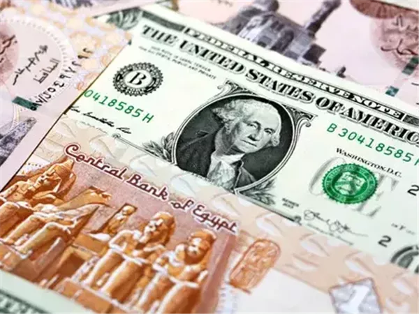 صناديق السيولة أرباح على الورق.. وخسائر في الواقع