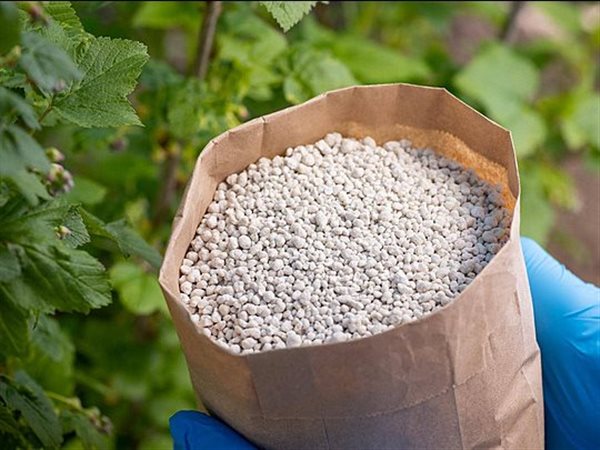 الحكومة: لا أزمة في أسمدة الموسم الصيفي والمخزون آمن