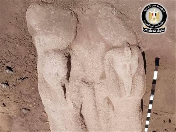 الكشف عن تمثال ضخم للملك رمسيس الثاني يزن 6 أطنان بمحافظة الشرقية
