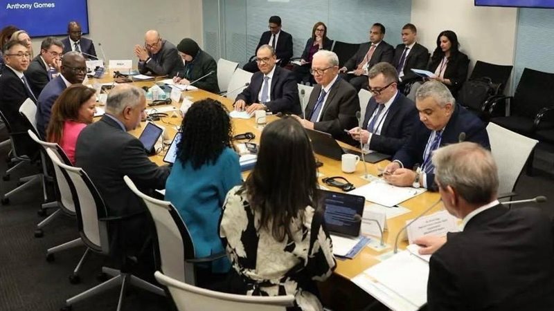 وفد اقتصادي مصري