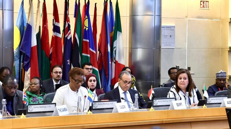  بدر عبد العاطي، وزير الخارجية 