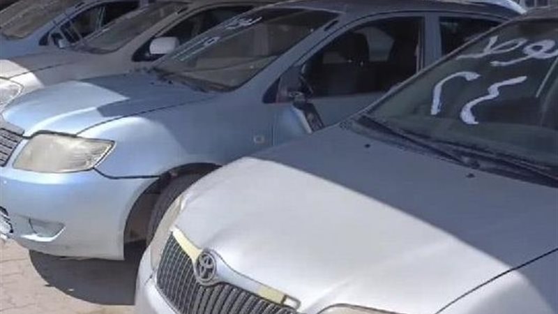 صورة أرشيفية