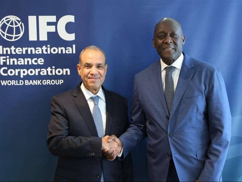 وزير الخارجية المصري