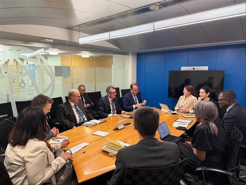 وزير التخطيط في اجتماعات