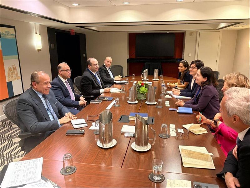 محمد فريد، وزير الاستثمار