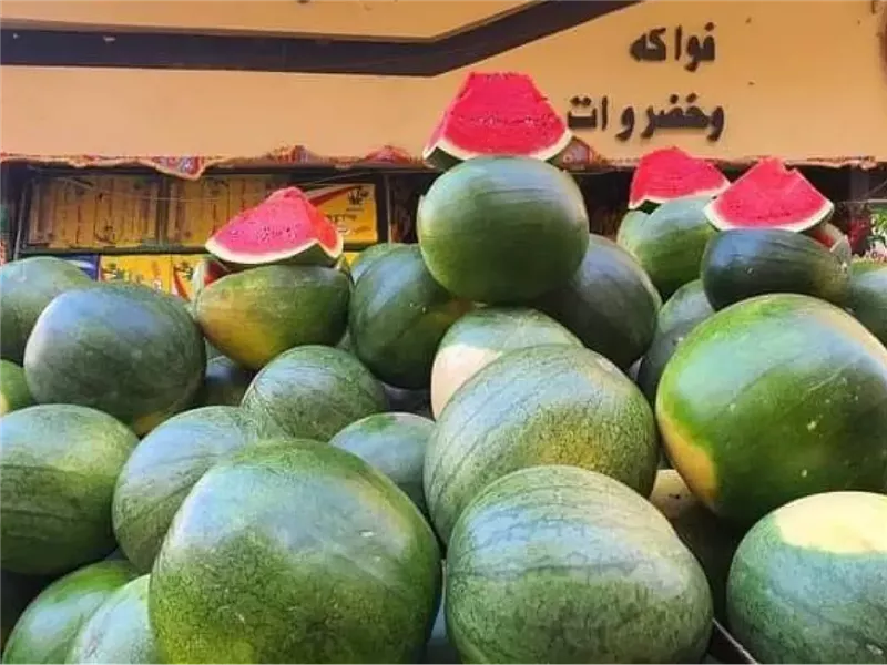 البطيخ