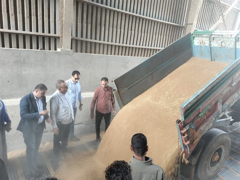 منظومة توريد القمح