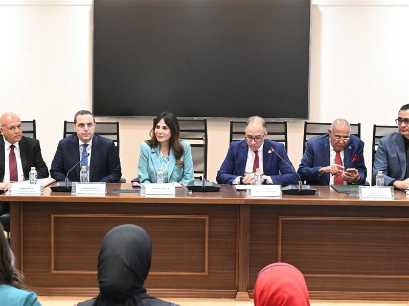 راندة المنشاوي، وزيرة