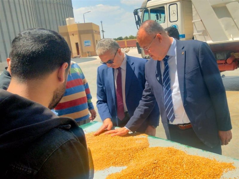 صومعة الغلال بالصالحية