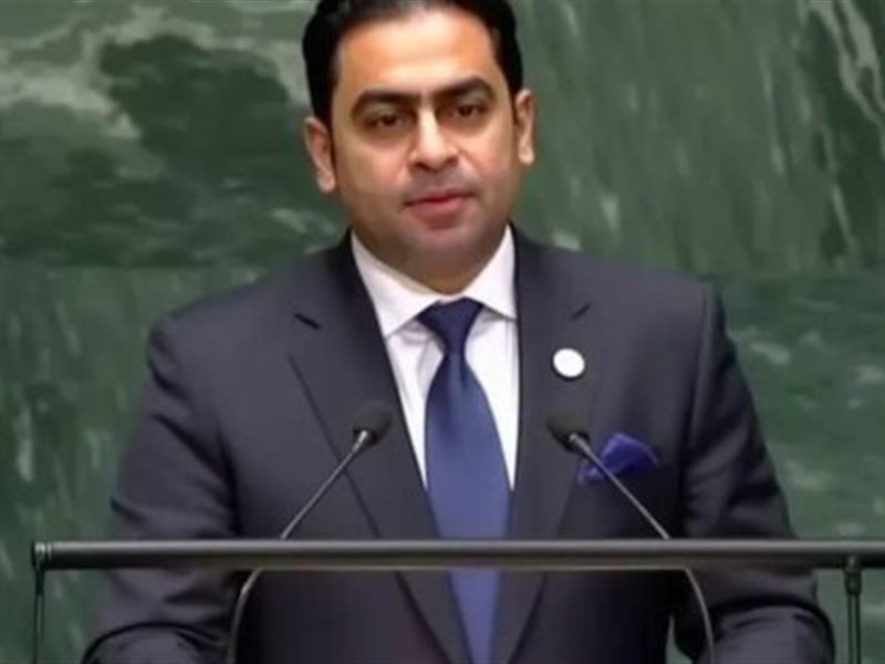 الخبير الاقتصادي محمد حمزة الحسيني