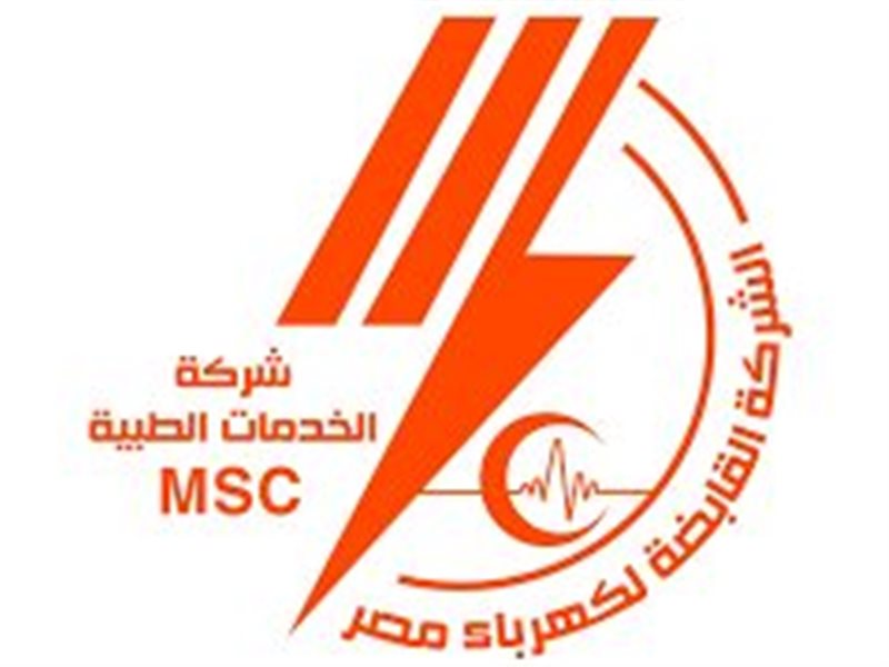 القابضة لكهرباء مصر