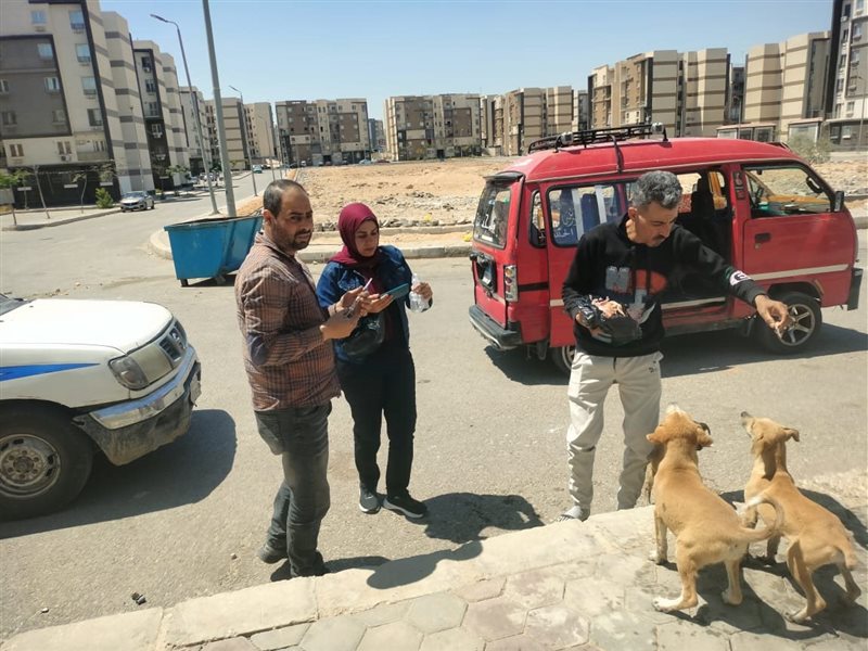 خلال حملة تطعيم الكلاب