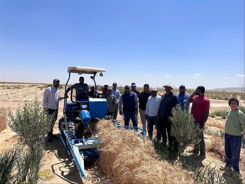 التنمية في سيناء