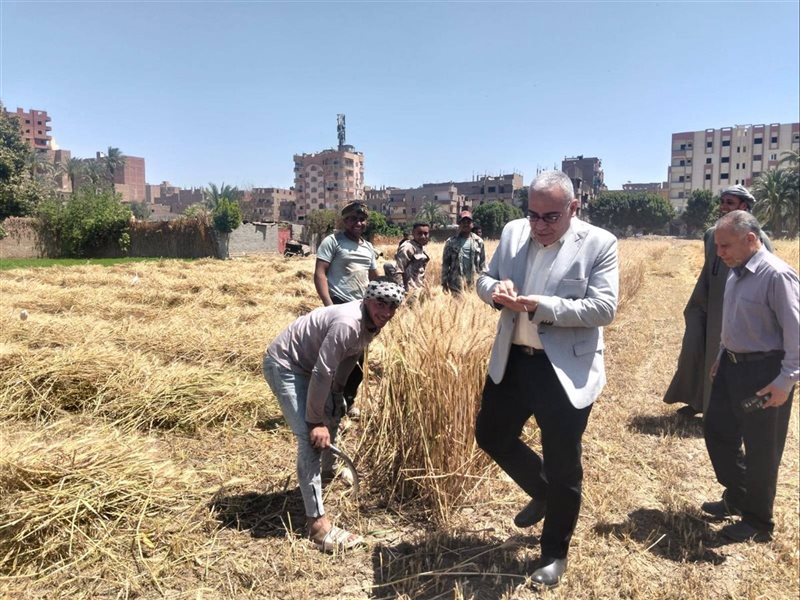 موسم الحصاد