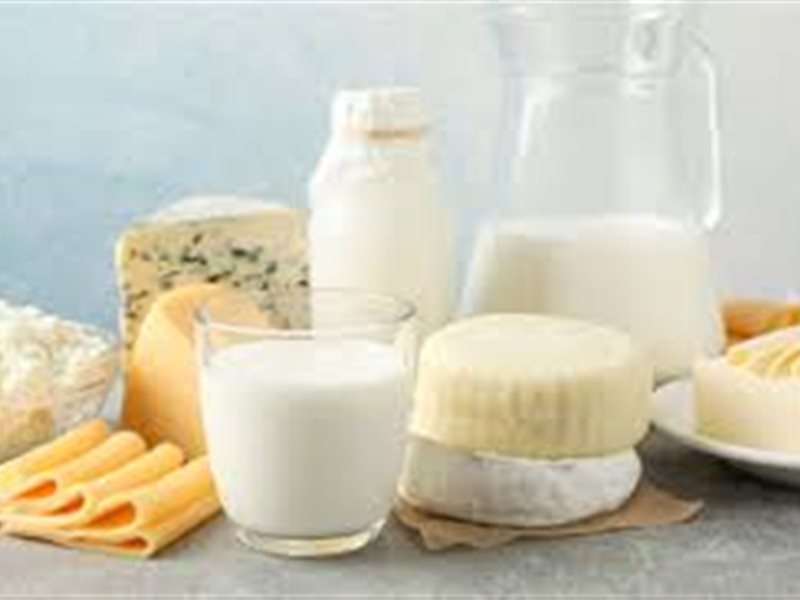 ألبان ومنتجاتها