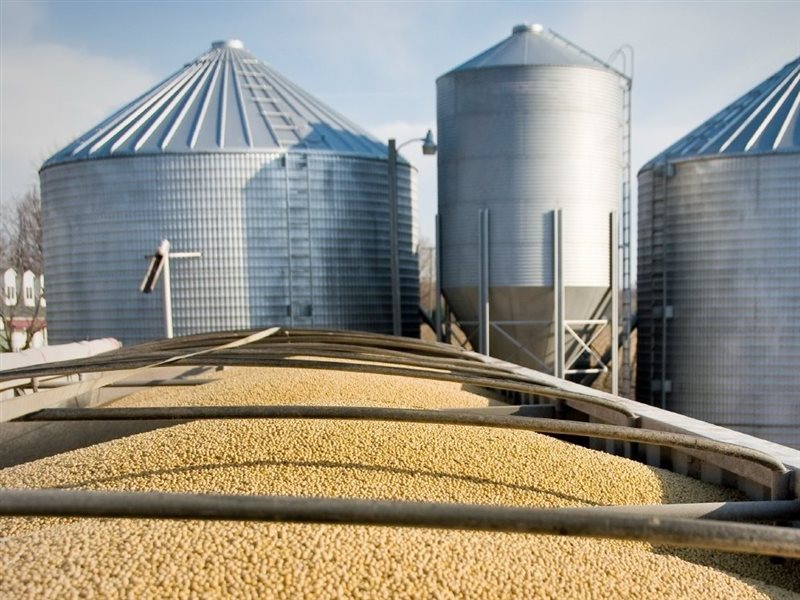 صوامع الجيزة