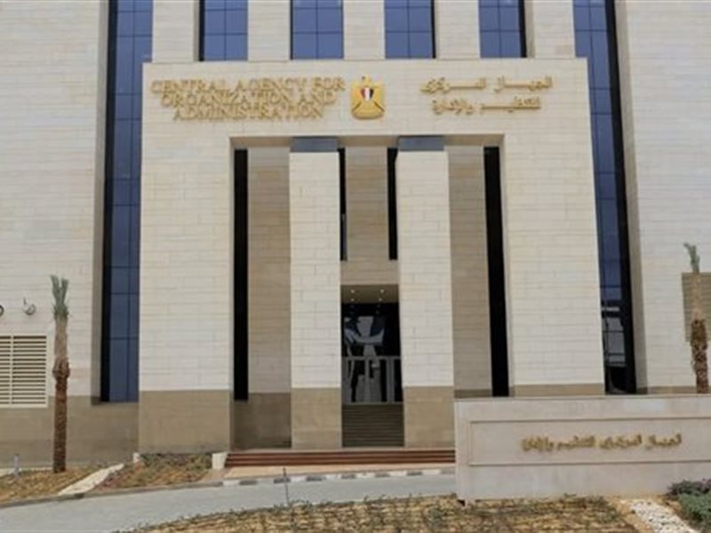 التنظيم والإدارة