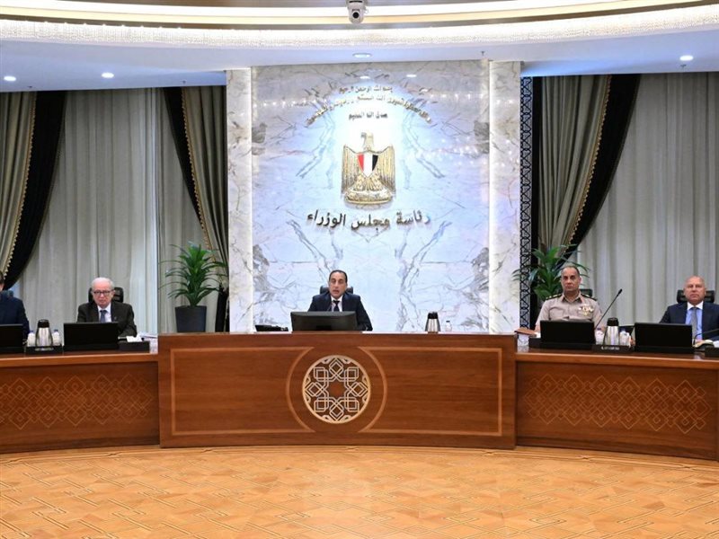  مجلس الوزراء، في